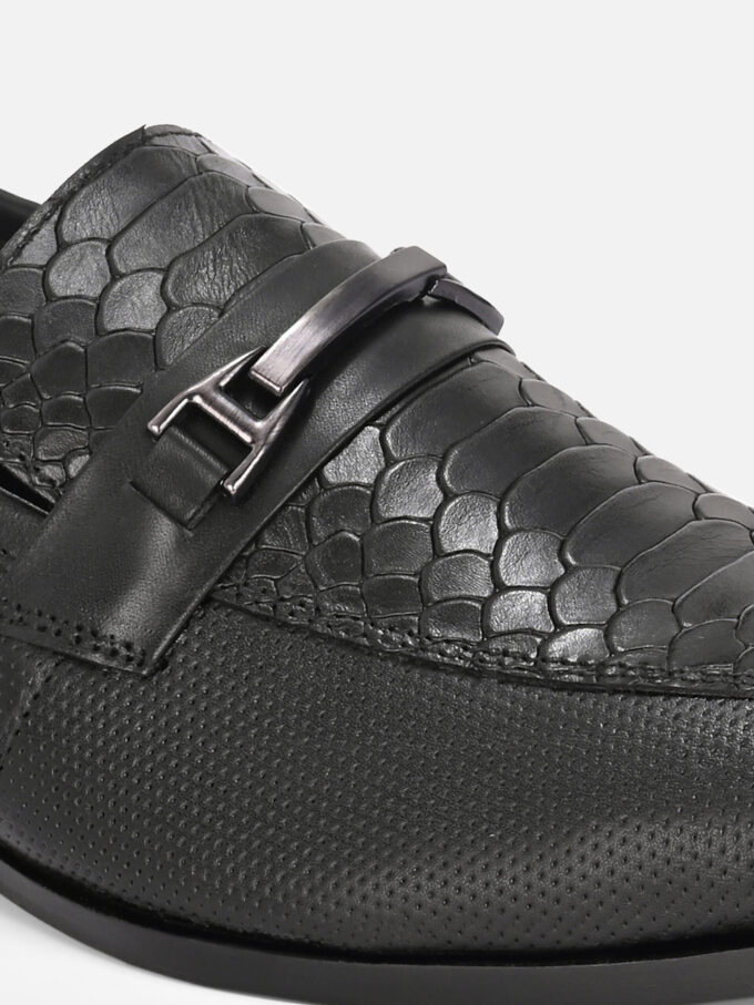 Crocodile Penny2